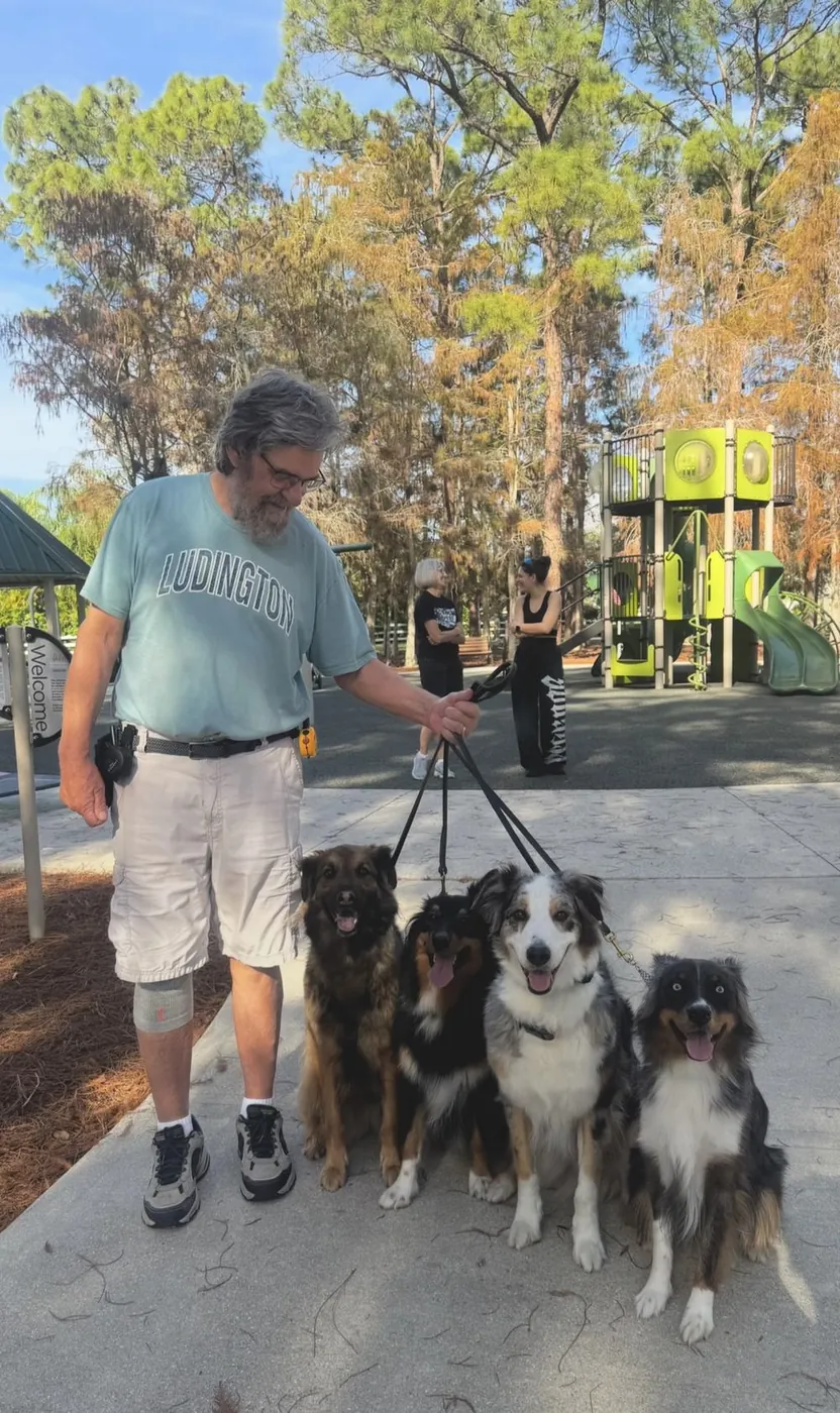 Public Meetup Sessions — SoFlo K9 Connections dog training in South Florida